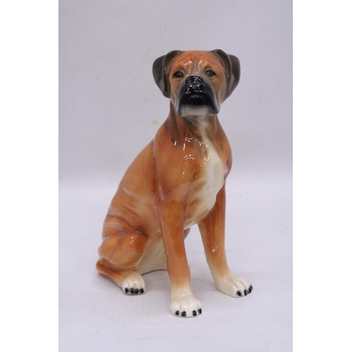 241 - A LARGE CERAMIC, KINGSTON POTTERY, MODEL OF A BOXER DOG, HEIGHT 28CM