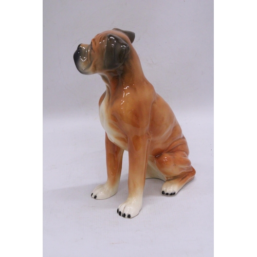 241 - A LARGE CERAMIC, KINGSTON POTTERY, MODEL OF A BOXER DOG, HEIGHT 28CM