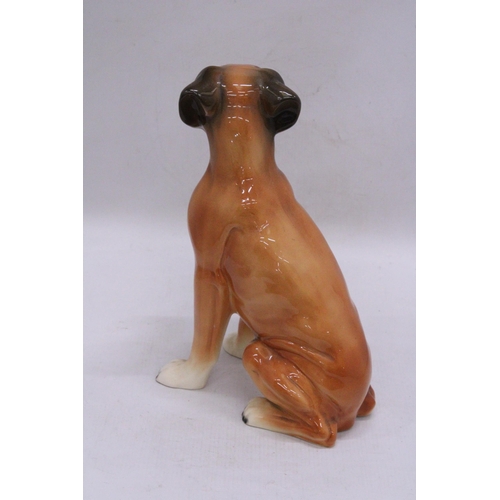 241 - A LARGE CERAMIC, KINGSTON POTTERY, MODEL OF A BOXER DOG, HEIGHT 28CM