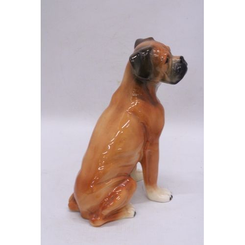 241 - A LARGE CERAMIC, KINGSTON POTTERY, MODEL OF A BOXER DOG, HEIGHT 28CM