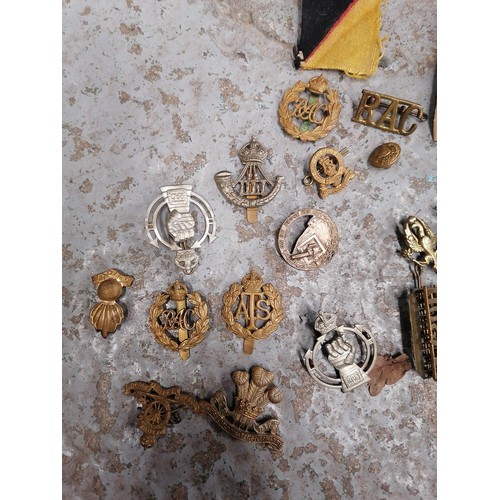 347 - VARIOUS BADGES AND CAP BADGES IN SMALL BOX .