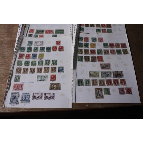 456 - A COLLECTION OF CANADIAN STAMPS (10+ SHEETS)