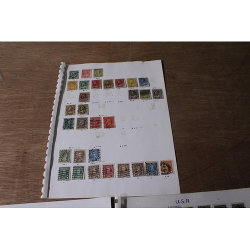 456 - A COLLECTION OF CANADIAN STAMPS (10+ SHEETS)