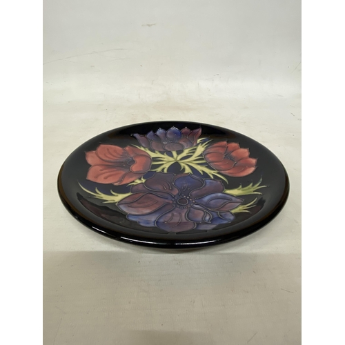 804 - A MOORCROFT ANEMONE PATTERN PLATE