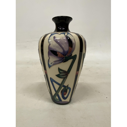 805 - A MOORCROFT HOMAGE VASE - 6 INCH