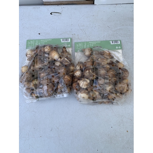 117 - EIGHTY BOTANICAL MIX NARCISSUS BULBS IN TWO PACKS. PLUS VAT TO BE SOLD FOR THE EIGHTY