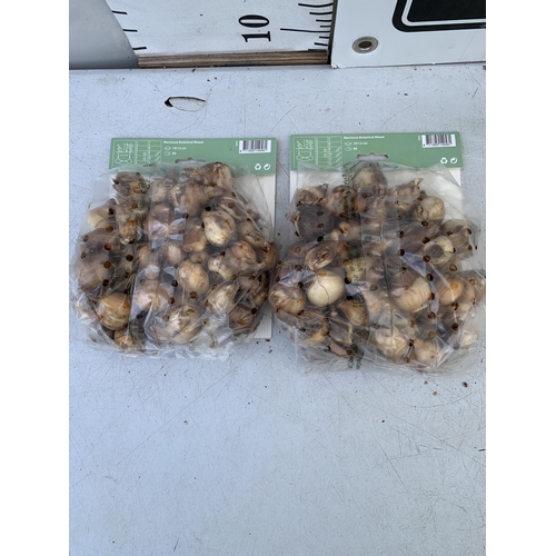 118 - EIGHTY BOTANICAL MIX NARCISSUS BULBS IN TWO PACKS. PLUS VAT TO BE SOLD FOR THE EIGHTY