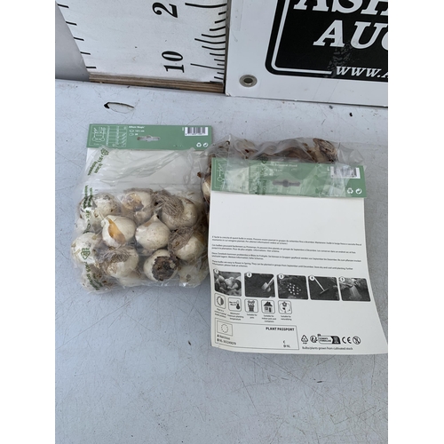 123 - SIXTY BULBS IN TWO PACKS - TWENTY ALLIUMS AND FORTY MIXED NARCISSUS. PLUS VAT TO BE SOLD FOR THE SIX... 