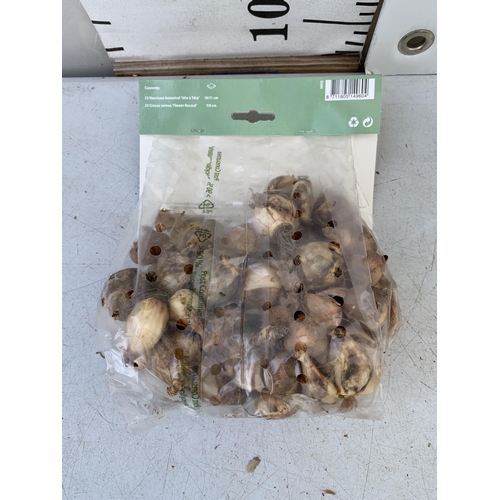 125 - FIFTY NARCISSUS AND CROCUS MIXED BULBS IN A PACK. PLUS VAT TO BE SOLD FOR THE FIFTY