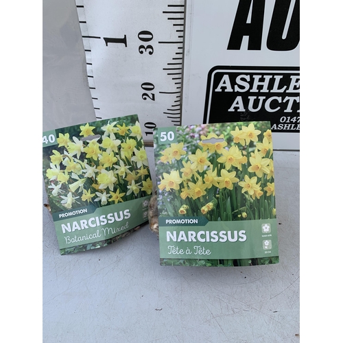 138 - NINETY NARCISSUS BULBS IN TWO PACKS - ONE (FORTY) BOTANICAL MIXED AND ONE (FIFTY) TETE A TETE. PLUS ... 