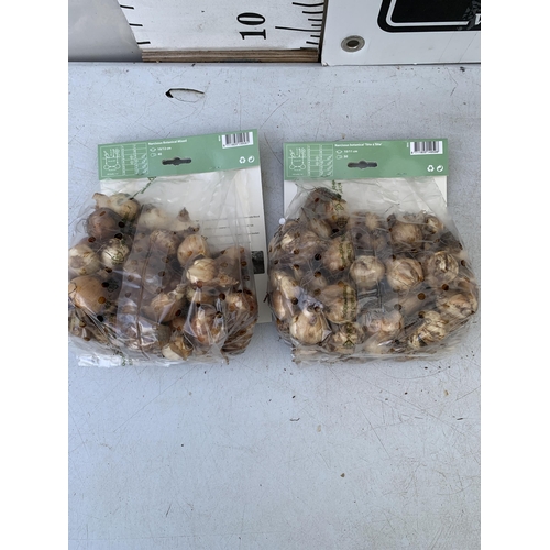 138 - NINETY NARCISSUS BULBS IN TWO PACKS - ONE (FORTY) BOTANICAL MIXED AND ONE (FIFTY) TETE A TETE. PLUS ... 