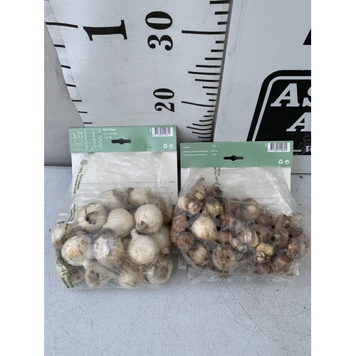 145 - SEVENTY SPRING BULBS IN TWO PACKS. ONE PACK OF TWENTY ALLIUMS AND ONE PACK OF FIFTY NARCISSUS AND CR... 