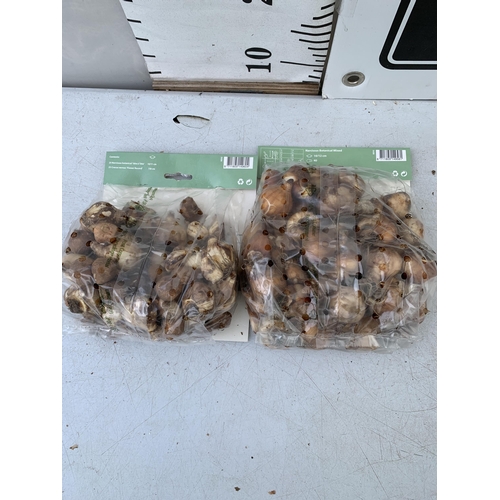 147 - NINETY BULBS IN TWO PACKS - FIFTY CROCUS AND NARCISSUS  MIX AND FORTY BOTANICAL MIXED NARCISSUS. PLU... 