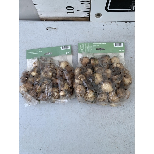 148 - NINETY BULBS IN TWO PACKS - FIFTY CROCUS AND NARCISSUS  MIX AND FORTY BOTANICAL MIXED NARCISSUS. PLU... 