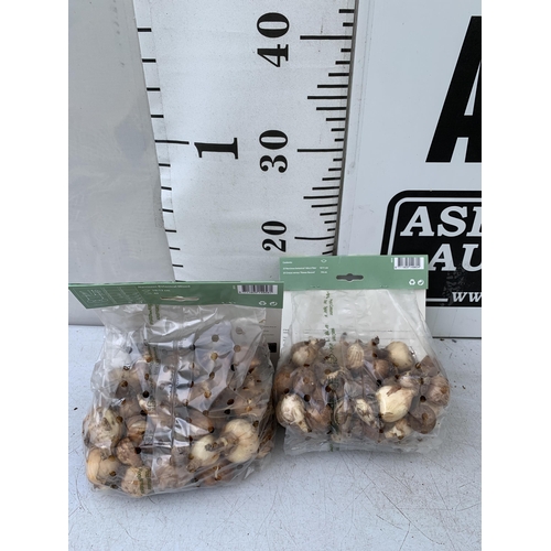 150 - NINETY BULBS IN TWO PACKS - FIFTY CROCUS AND NARCISSUS  MIX AND FORTY BOTANICAL MIXED NARCISSUS. PLU... 