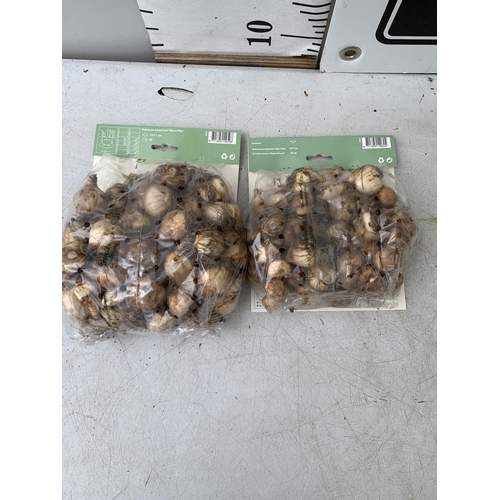 197 - ONE HUNDRED BULBS IN TWO PACKS. FIFTY NARCISSUS TETE A TETE AND FIFTY NARCISSUS AND CROCUS. PLUS VAT... 