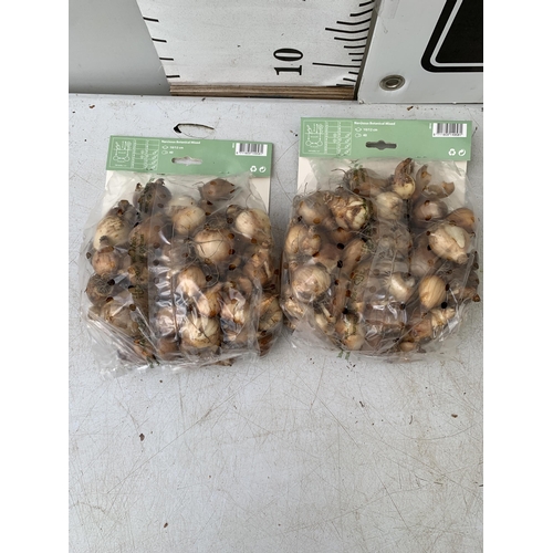 198 - EIGHTY BOTANICAL MIX NARCISSUS BULBS IN TWO PACKS. PLUS VAT TO BE SOLD FOR THE EIGHTY