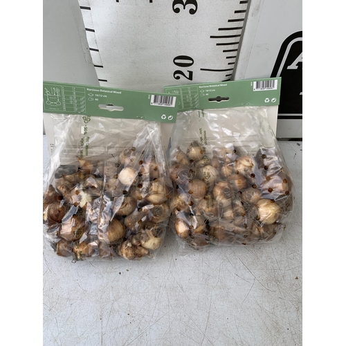 200 - EIGHTY BOTANICAL MIX NARCISSUS BULBS IN TWO PACKS. PLUS VAT TO BE SOLD FOR THE EIGHTY