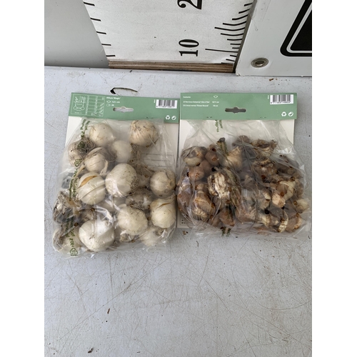 201 - SEVENTY SPRING BULBS IN TWO PACKS. TWENTY ALLIUM MAGIC AND FIFTY NARCISSUS AND CROCUS MIXED. PLUS VA... 