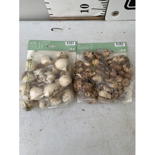 202 - SEVENTY SPRING BULBS IN TWO PACKS. TWENTY ALLIUM MAGIC AND FIFTY NARCISSUS AND CROCUS MIXED. PLUS VA... 