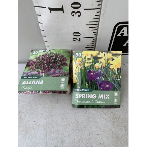 203 - SEVENTY SPRING BULBS IN TWO PACKS. TWENTY ALLIUM MAGIC AND FIFTY NARCISSUS AND CROCUS MIXED. PLUS VA... 