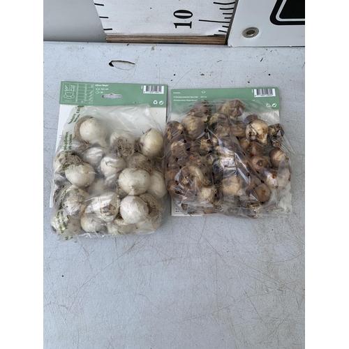 203 - SEVENTY SPRING BULBS IN TWO PACKS. TWENTY ALLIUM MAGIC AND FIFTY NARCISSUS AND CROCUS MIXED. PLUS VA... 