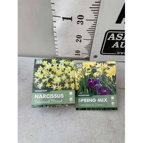 204 - NINETY BULBS IN TWO PACKS - FIFTY CROCUS AND NARCISSUS  MIX AND FORTY BOTANICAL MIXED NARCISSUS. PLU... 