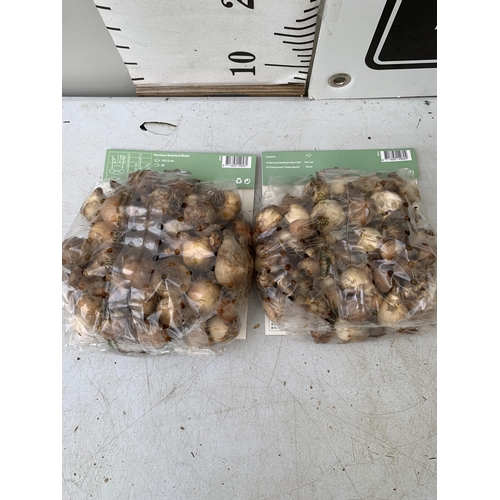 204 - NINETY BULBS IN TWO PACKS - FIFTY CROCUS AND NARCISSUS  MIX AND FORTY BOTANICAL MIXED NARCISSUS. PLU... 