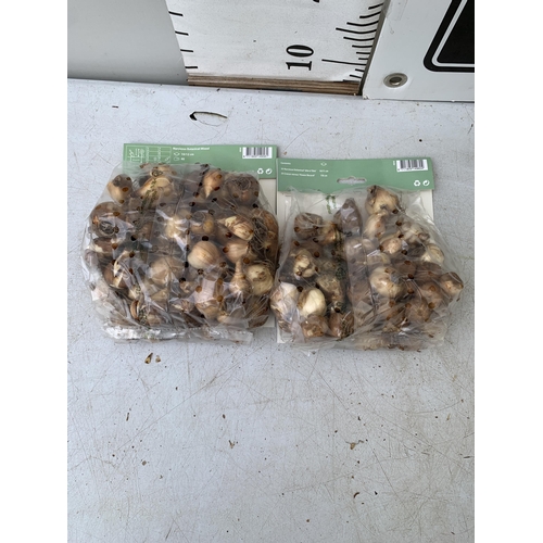 205 - NINETY BULBS IN TWO PACKS - FIFTY CROCUS AND NARCISSUS  MIX AND FORTY BOTANICAL MIXED NARCISSUS. PLU... 