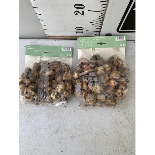 209 - NINETY BULBS IN TWO PACKS - FIFTY CROCUS AND NARCISSUS  MIX AND FORTY BOTANICAL MIXED NARCISSUS. PLU... 