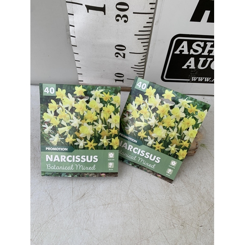 212 - EIGHTY BOTANICAL MIX NARCISSUS BULBS IN TWO PACKS. PLUS VAT TO BE SOLD FOR THE EIGHTY