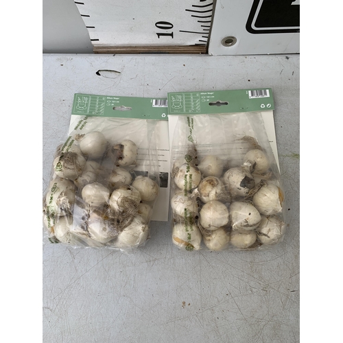 215 - FORTY SPRING ALLIUM MAGIC BULBS IN TWO PACKS.PLUS VAT TO BE SOLD FOR THE FORTY