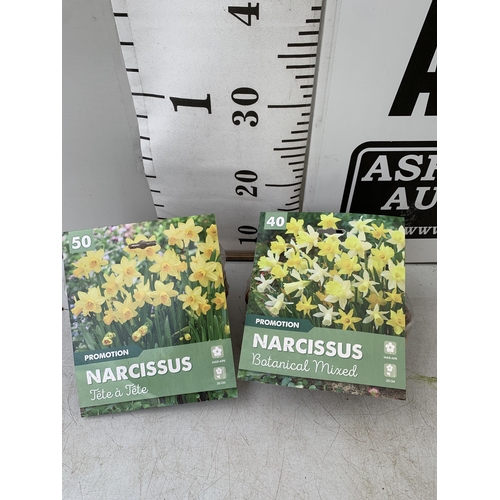 216 - EIGHTY BOTANICAL MIX NARCISSUS BULBS IN TWO PACKS. PLUS VAT TO BE SOLD FOR THE EIGHTY