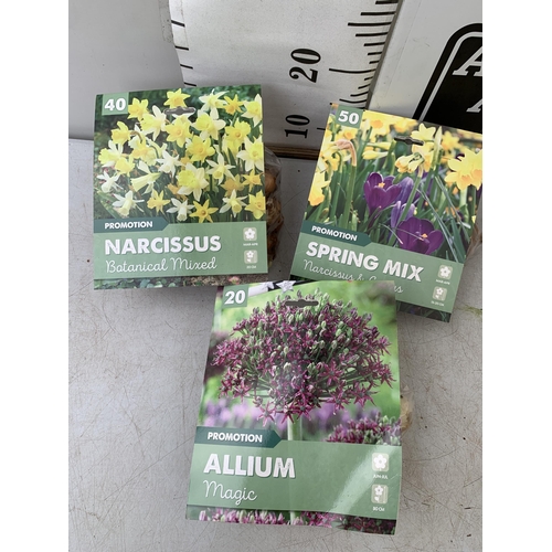 217 - ONE HUNDRED AND TEN SPRING BULBS IN THREE PACKS. FORTY NARCISSUS, TWENTY ALLIUM AND FIFTY MIXED NARC... 