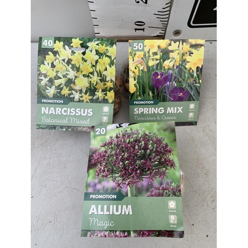 218 - ONE HUNDRED AND TEN SPRING BULBS IN THREE PACKS. FORTY NARCISSUS, TWENTY ALLIUM AND FIFTY MIXED NARC... 