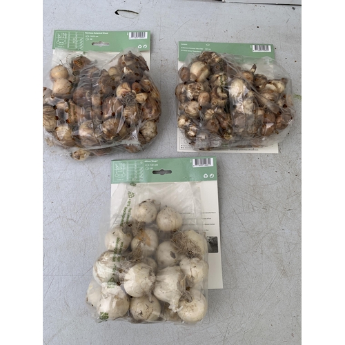 218 - ONE HUNDRED AND TEN SPRING BULBS IN THREE PACKS. FORTY NARCISSUS, TWENTY ALLIUM AND FIFTY MIXED NARC... 