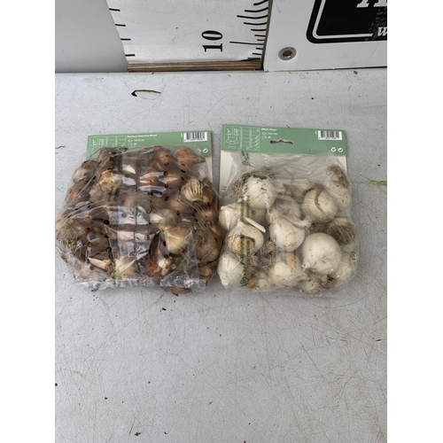 220 - SIXTY SPRING BULBS IN TWO PACKS - TWENTY ALLIUM MAGIC AND FORTY BOTANICAL MIXED. PLUS VAT TO BE SOLD... 