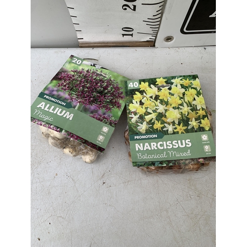 221 - SIXTY SPRING BULBS IN TWO PACKS - TWENTY ALLIUM MAGIC AND FORTY BOTANICAL MIXED. PLUS VAT TO BE SOLD... 