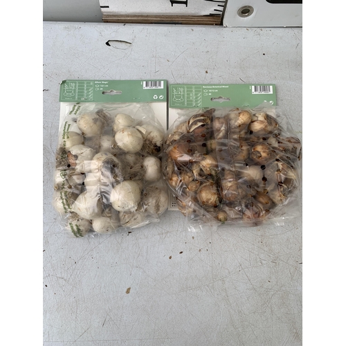 221 - SIXTY SPRING BULBS IN TWO PACKS - TWENTY ALLIUM MAGIC AND FORTY BOTANICAL MIXED. PLUS VAT TO BE SOLD... 