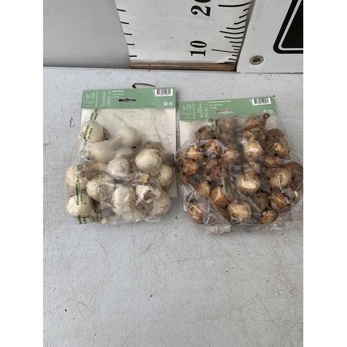 222 - SIXTY SPRING BULBS IN TWO PACKS - TWENTY ALLIUM MAGIC AND FORTY BOTANICAL MIXED. PLUS VAT TO BE SOLD... 