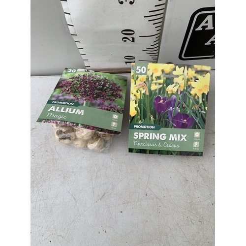 223 - SEVENTY SPRING BULBS IN TWO PACKS - TWENTY ALLIUM MAGIC AND FIFTY SPRING MIX - NARCISSUS AND CROCUS.... 