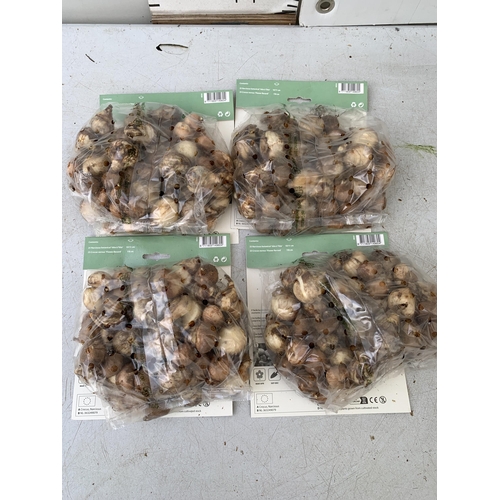 227 - TWO HUNDRED SPRING MIX BULBS IN FOUR PACKS. NARCISSUS AND CROCUS MIX PLUS VAT TO BE SOLD FOR THE TWO... 