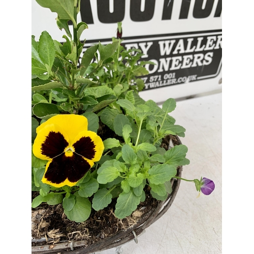 23 - TWO RATTAN HANGING BASKETS FILLED WITH WINTER BEDDING FLOWERS INCLUDING PANSIES ETC. 30CM IN DIAMETE... 