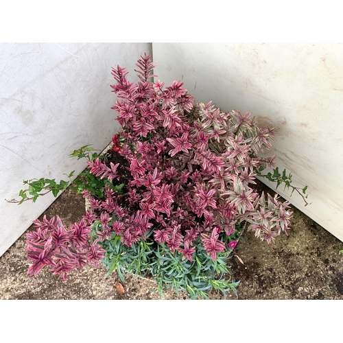 26 - ONE ORNAMENTAL CONCRETE PLANTER FILLED WITH MIXED PINK COLOURED HEBES, AND DIANTHUS. APPROX 40CM DIA... 