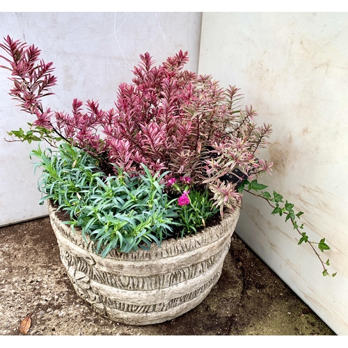 26 - ONE ORNAMENTAL CONCRETE PLANTER FILLED WITH MIXED PINK COLOURED HEBES, AND DIANTHUS. APPROX 40CM DIA... 