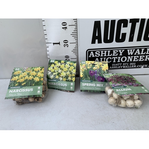 41 - TWO HUNDRED AND TWENTY VARIOUS BULBS - TWO PACKS OF 50 NARCISSUS, TWO PACKS OF 50 CROCUS AND NARCISS... 