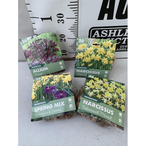 42 - TWO HUNDRED AND TWENTY VARIOUS BULBS - TWO PACKS OF 50 NARCISSUS, TWO PACKS OF 50 CROCUS AND NARCISS... 