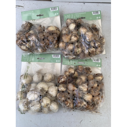 53 - TWO HUNDRED AND TWENTY VARIOUS BULBS - TWO PACKS OF 50 NARCISSUS, TWO PACKS OF 50 CROCUS AND NARCISS... 