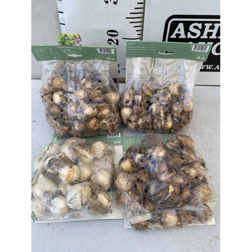 54 - TWO HUNDRED AND TWENTY VARIOUS BULBS - TWO PACKS OF 50 NARCISSUS, TWO PACKS OF 50 CROCUS AND NARCISS... 