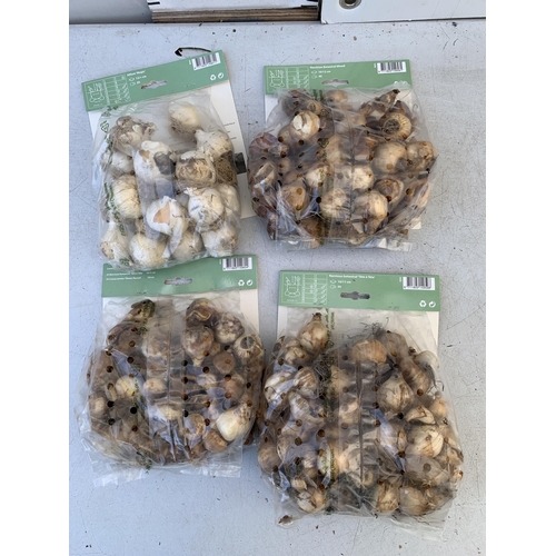 82 - TWO HUNDRED AND TWENTY VARIOUS BULBS - TWO PACKS OF 50 NARCISSUS, TWO PACKS OF 50 CROCUS AND NARCISS... 